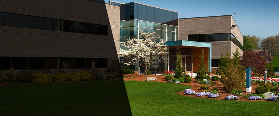 Wildomar Landscapers