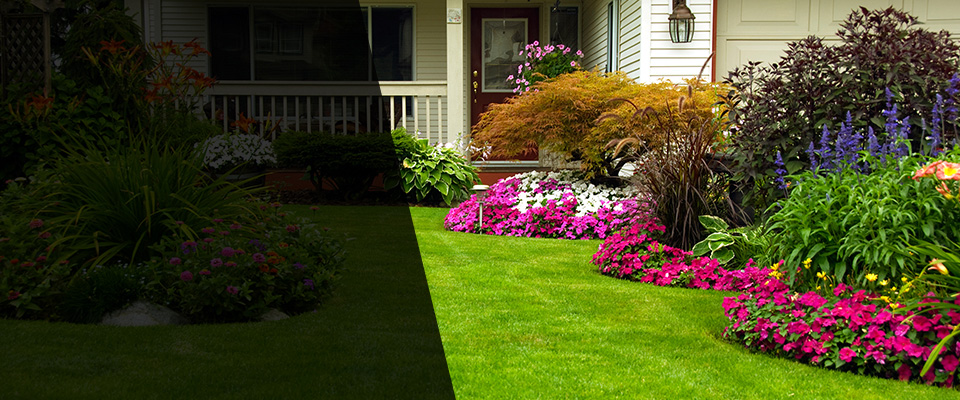 Wildomar Landscapers