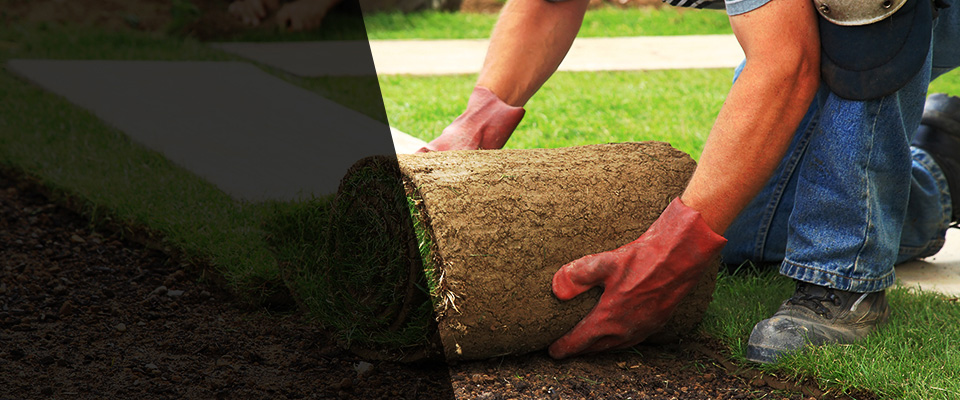 Wildomar Landscapers